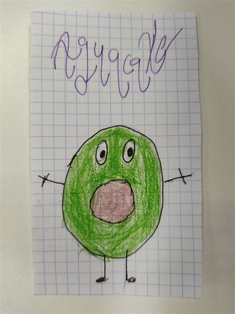 Office Supplies Notebook Avocado Drawings The Notebook Exercise