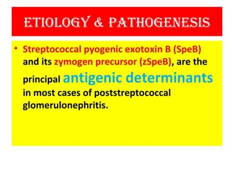 Acute Post Streptococcal Glomerulonephritis Ppt