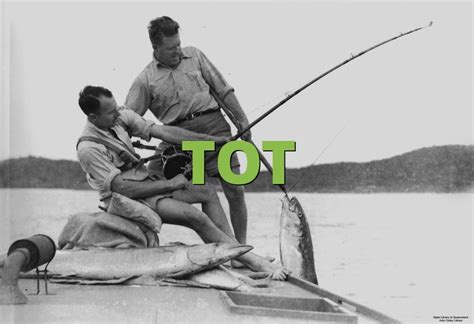 TOT Meaning » Slang.org