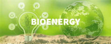 A Review Of Bioenergy, Biomass, And Biofuel Production