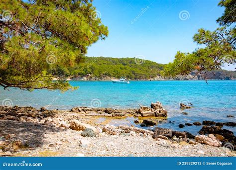 Phaselis Beach Antalya Phaselis Background Photo Stock Image Image