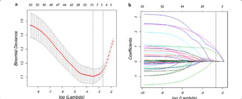 Predictor Selection By The Least Absolute Shrinkage And Selection