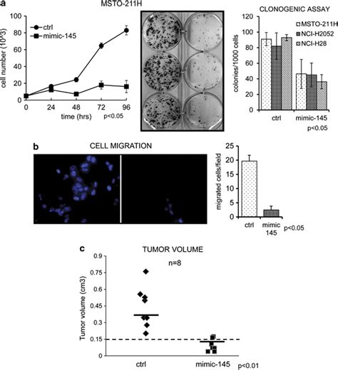 Re Expression Of Mir Affects Protumorigenic Properties Of The Mpm