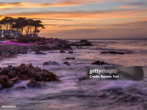 706 Purple Tide Stock Photos High Res Pictures And Images Getty Images