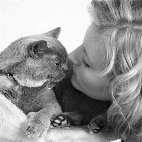Independent Vets Of Australia Public Home Facebook