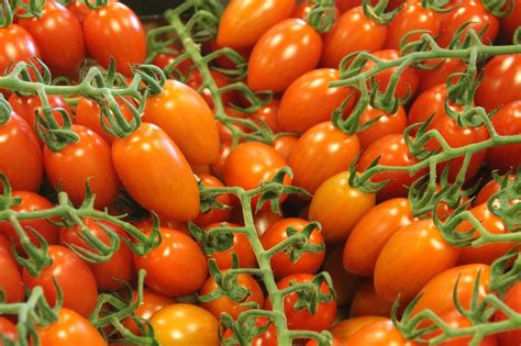 Tomaten Gemüse Kostenloses Foto auf Pixabay Pixabay