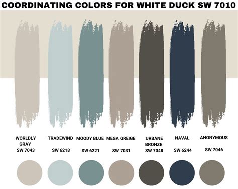 Sherwin Williams White Duck Paint Color Review Helpwithdiy