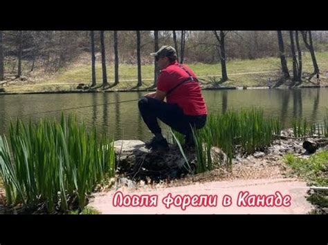 Ловля форели в Канаде ( заповедник) - YouTube