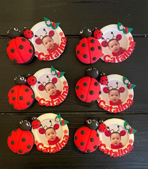 Ladybug Magnets Ladybug Party Favors Ladybird Theme Party Etsy