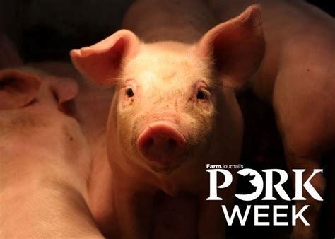 Swine Veterinarian Weighs In On Prrs Biosecurity Efforts By Pork Industry Pork Business