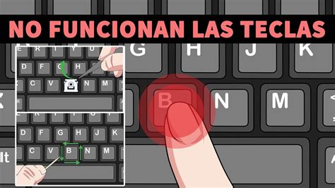 luto Burlas Bergantín algunas letras del teclado no funcionan Trastorno