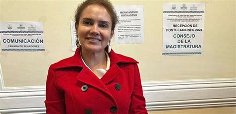 Amparo constitucional frena el proceso de selección para las Elecciones