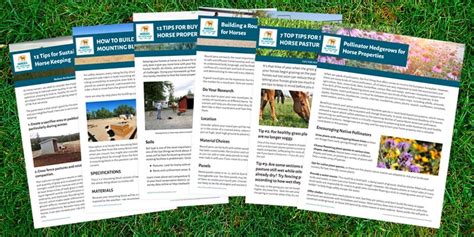 Full Tip Sheet Library Bundle — Horses For Clean Water