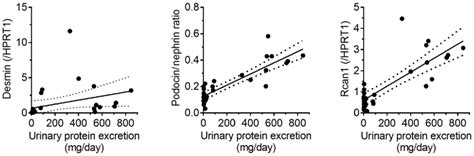 Correlation Between Gene Expression And Urinary Protein Excretion