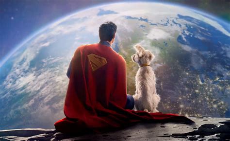 Superman James Gunn Condivide La Prima Immagine Di Krypto Il Cane Che