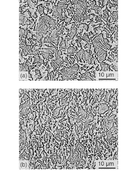 Microstructures Containing Ferrite And Martensite Formed At A Cooling