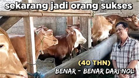 Breeding Sapi Benar Benar Dari Nol Sudah 40 THN Lamanya YouTube