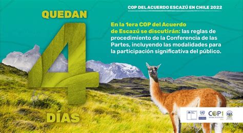 Ministerio Del Medio Ambiente On Twitter ️ ️ Quedan 4 Días Para La Primera Conferencia De Las