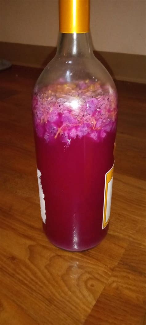 Dragon Fruit And Mimosa Flower Wine Blueberry And Red Sumac Berry Wine