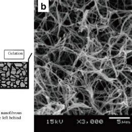 Schematic of nanofiber fabrication by the drawing technique. (b) SEM... | Download Scientific ...