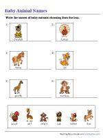 Animals and Their Young Worksheets - Worksheets Library