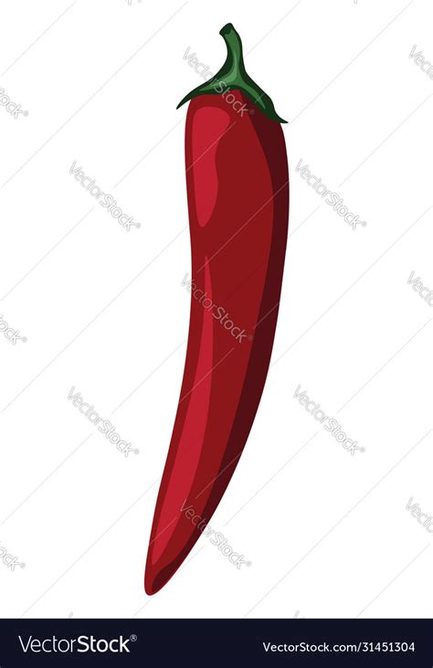 Red Hot Pepper On White Background Royalty Free Vector Image