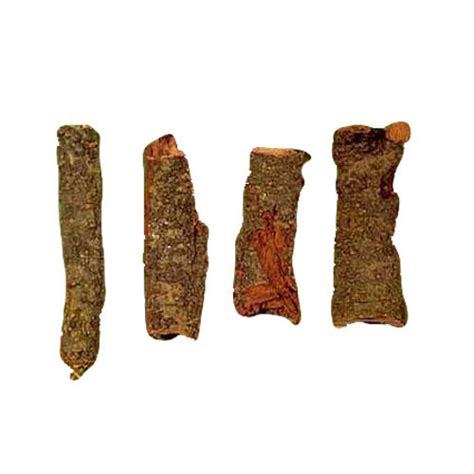 Khair Bark, Packaging Size: 25 Kg at Rs 35/kilogram in Hoshangabad | ID ...