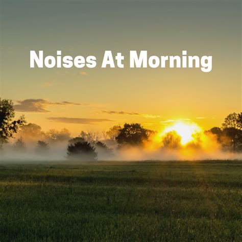 Noises At Morning Album By Airplane White Noise Spotify