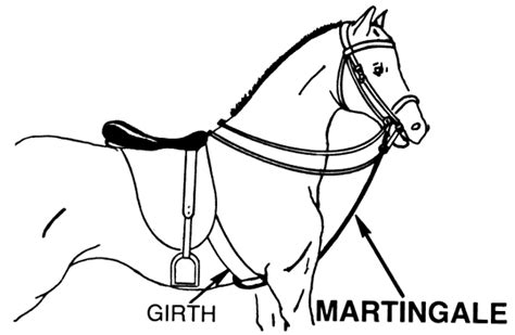 Horse Bridle Parts Diagram Sketch Coloring Page