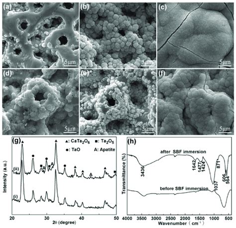 Surface Morphologies Of Ta O Modified By Mao At V After