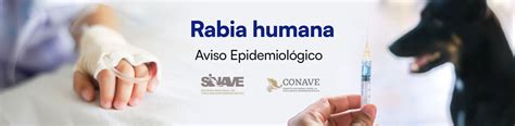 Rabia Humana Aviso Epidemiológico