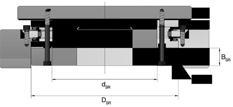 Specific Bearing Features NGS Product Myonic