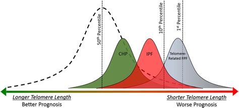 Telomere length is associated with prognosis in idiopathic pulmonary... | Download Scientific ...