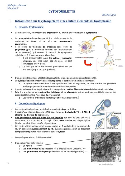 Cours 2 Cytosquelette Biologie Cellulaire Chapitre 2 CYTOSQUELETTE