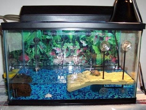 Red Eared Slider Turtle Tank - Aquarium Blog