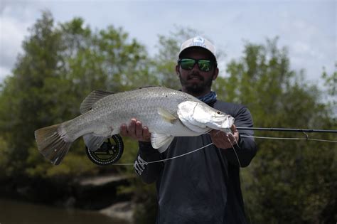 Barramundi (Barra) of Australia [Tips to Catch Them] - Flylords Mag