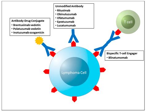 Pharmaceuticals Free Full Text Novel Targeted Agents In Hodgkin And