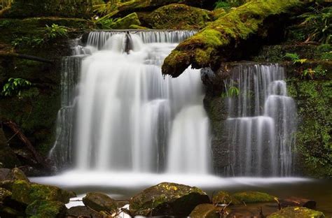 Elakala Falls: Popular Tourist Destination in West Virginia