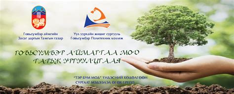 ГОВЬСҮМБЭР АЙМАГТАА МОД ТАРЬЖ УРГУУЛЪЯ