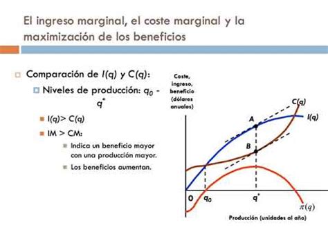 La Maximizacion De Los Beneficios Y La Oferta Competitiva Primera Parte