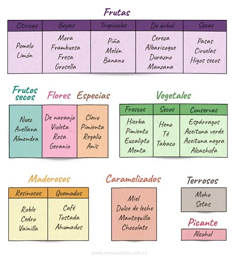 Fase Olfativa Los Aromas Del Vino Descubre Cu Les Tipos Existen