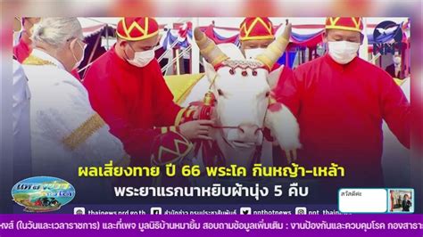 ผลเสี่ยงทายในพระราชพิธีพืชมงคลจรดพระนังคัลแรกนาขวัญ ปี 2566 Youtube