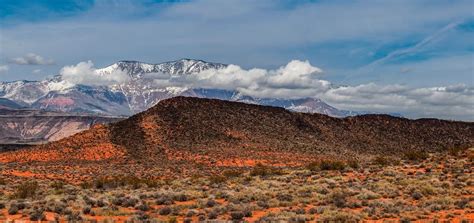 Pine Valley Mountain Wilderness Area