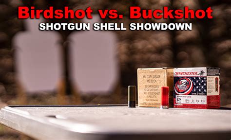 Birdshot Vs Buckshot Best Home Defense Option