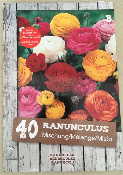 Pin By Mehrzad Eslami On The Most Beautiful Ranunculus Beautiful Art