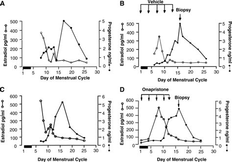 Serum Estradiol Open Circles And Progesterone Dark Circles Levels