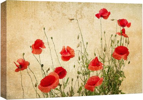 AEFER Canvas Wall Art Red Poppy Flowers On Vintage Abstract