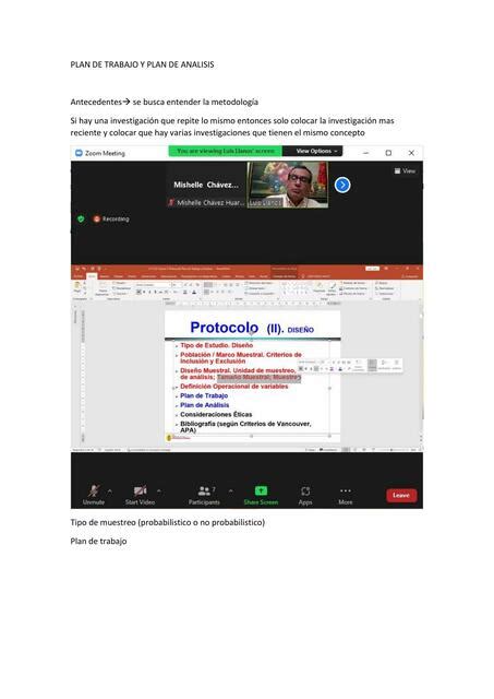 Plan de Trabajo y Plan de Análisis Mishelle Chavez uDocz