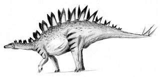 File Tuojiangosaurus Wikimedia Commons