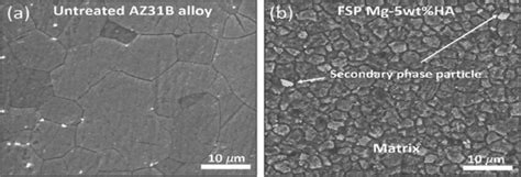 Sem Micrographs Of A Untreated Az31b Alloy B Fsp Mg 5 Wt Ha [30